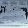 carolina_villagran_-_distribucion_de_frecuencias_de_los_arboles_en_ambas_vertientes_de_la_cordillera_del_piuche.webp