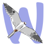 logo.png